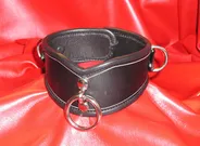 Bondage V-Collar